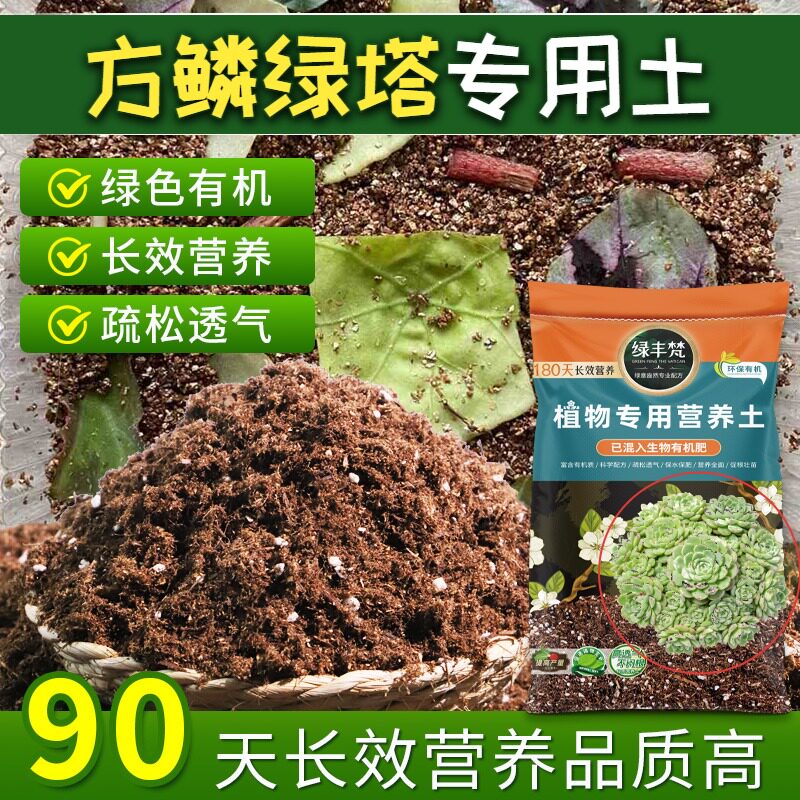 方鳞绿塔专用花土科学配比嫁接盆栽土精配原料防徒长无草籽喜酸