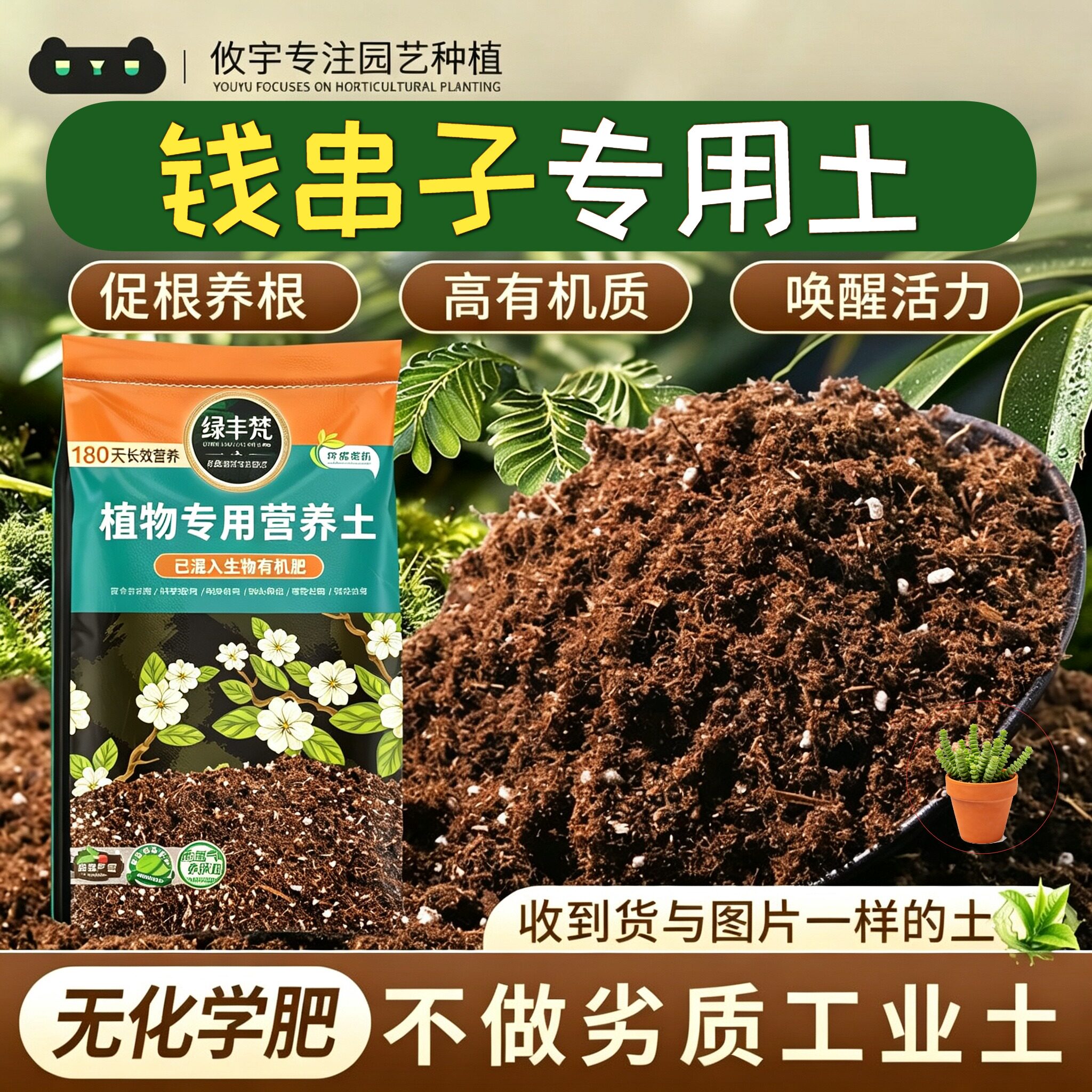 钱串子专用轻质园艺土排水顺畅家庭营养土无菌促生长开袋即用球根
