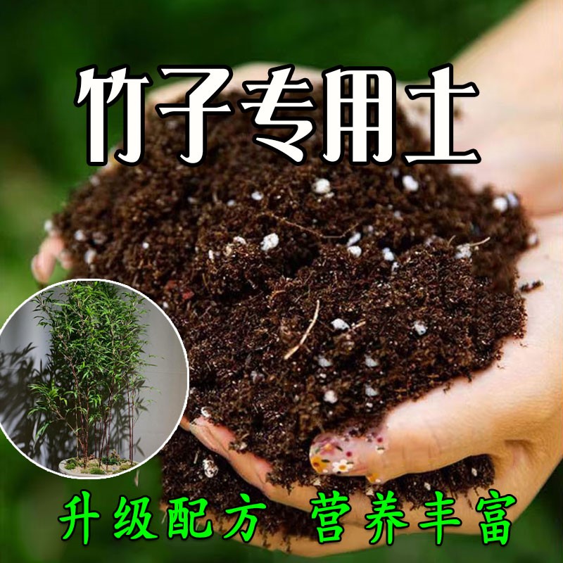 竹子专用种植土泥炭土科学配比根壮苗好盆栽屋顶营养土优质观叶