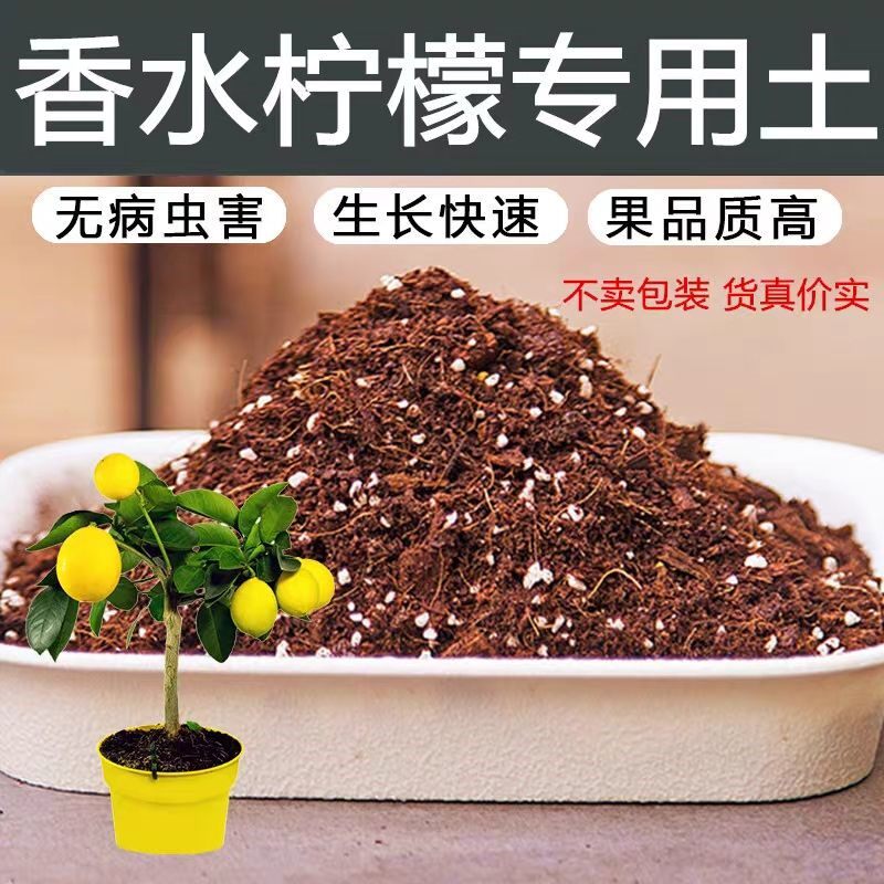 香水柠檬专用土酸性土壤沙质红土盆栽种植土香水柠檬土柠檬树肥料