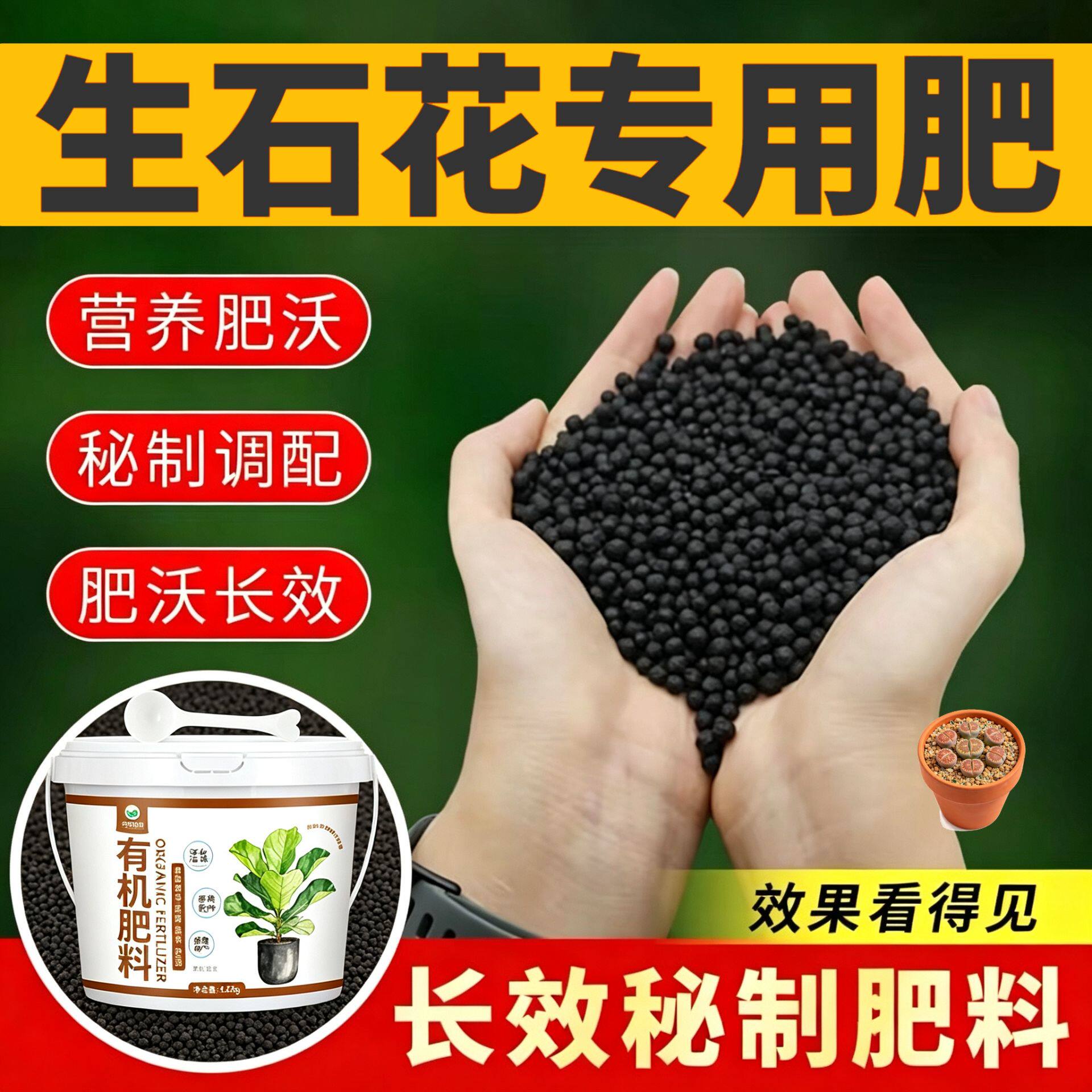 生石花专用肥缓释肥水溶肥花多色艳叶片肥厚室内盆栽底肥根壮苗好