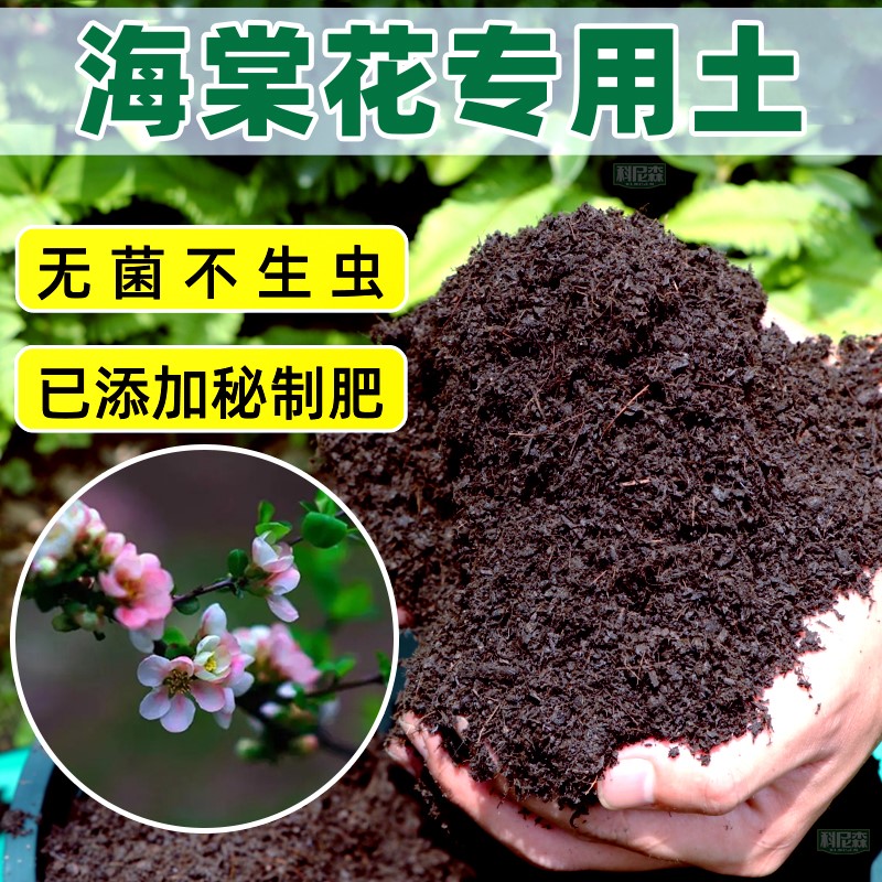 海棠花专用营养土蓬松多孔高压嫁接种植土天然多肉育苗喜酸优质