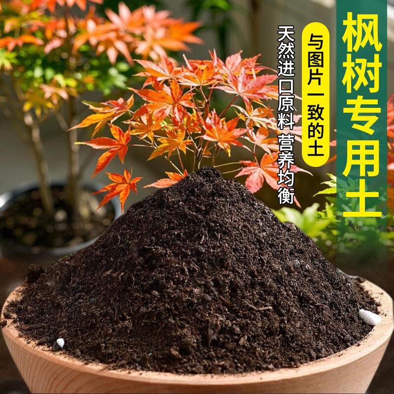 枫树专用土多肉土绿植物室内养花专用土家用有机肥花土泥土花肥图片