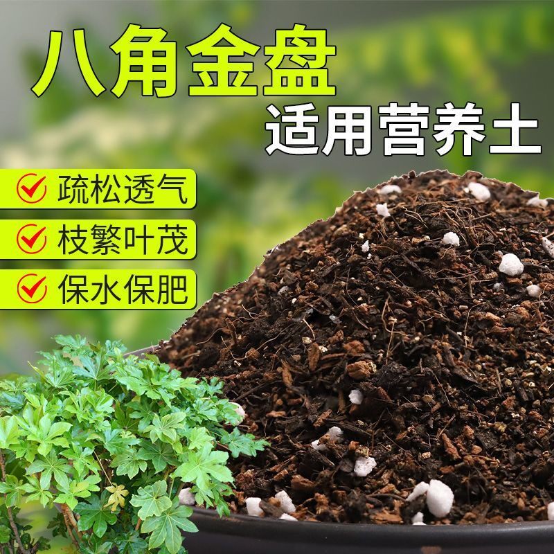 【八角金盘专用土】疏松透气盆栽绿植专用室内植物有机营养土肥料
