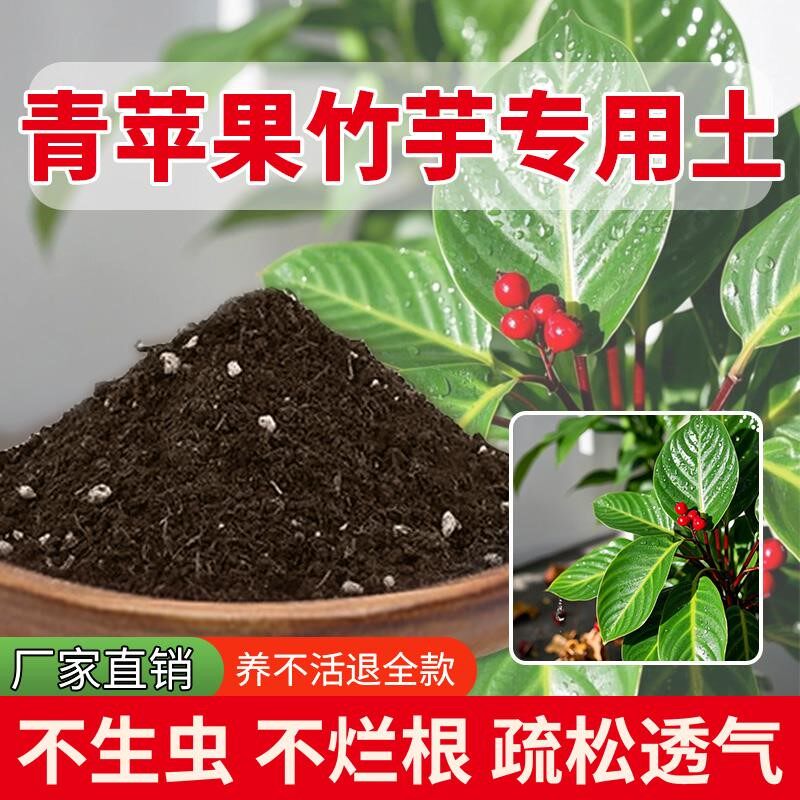 青苹果专用土花土天然种菜花卉盆栽专用土栽培土家用绿植物家庭