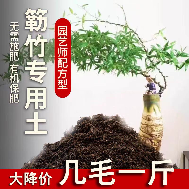 簕竹专用土腐殖酸性沙质土小叶勒竹子营养土盆景盆栽通用花泥土壤