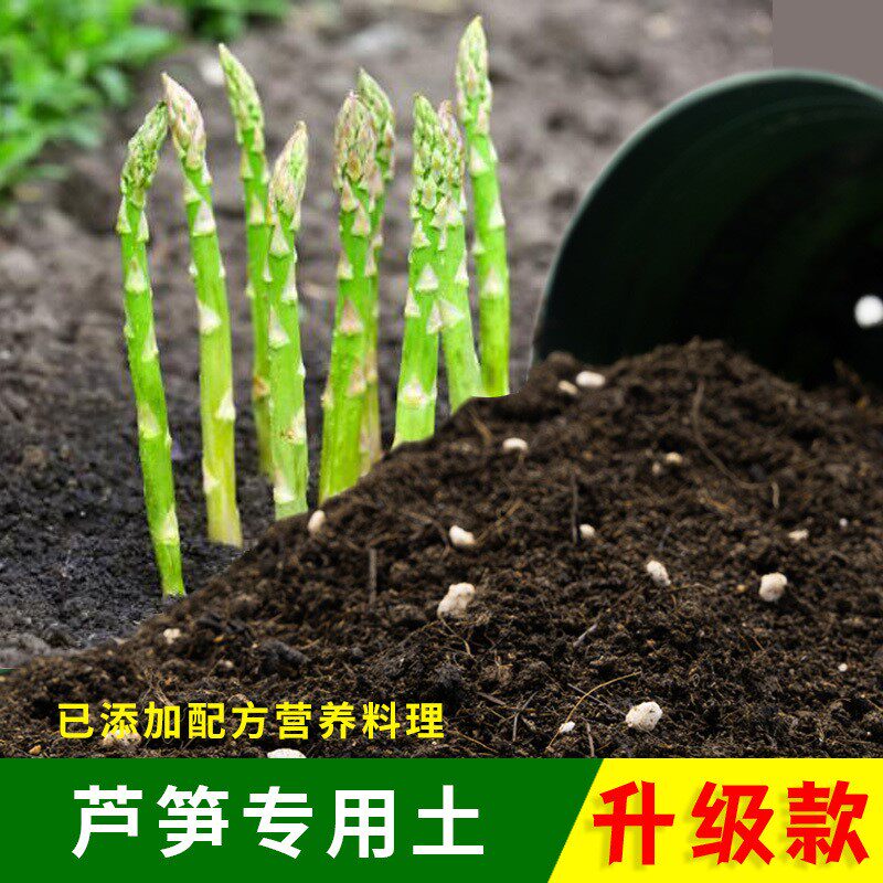 芦笋专用土花草种植土壤盆栽种花养花植物肥料芦笋有机土营养土