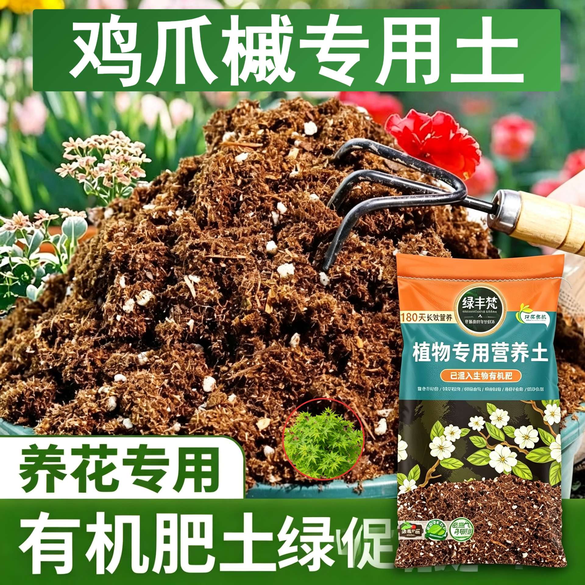 鸡爪槭适用泥炭土促开花嫁接盆栽土原料甄选留存肥力试用装木本