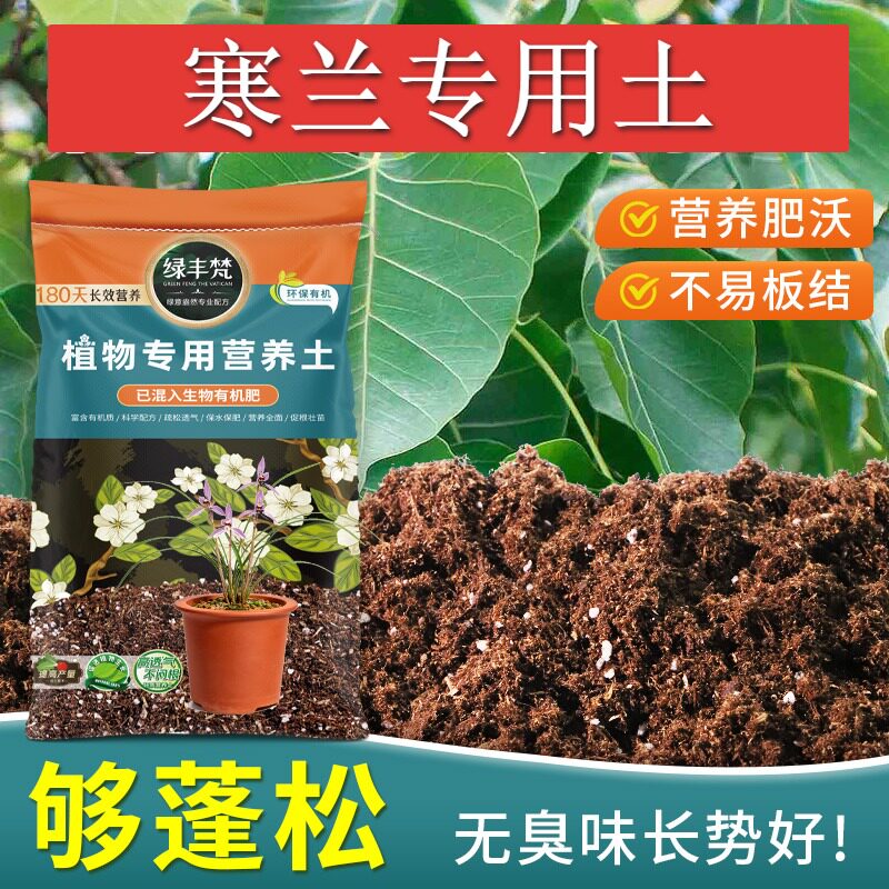 寒兰专用花泥疏松多孔室内种植土腐熟充分保水锁水无草籽球根栽植