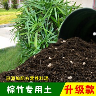 棕竹专用土有机土肥料家用种植土棕竹营养土盆栽养花通用土壤包邮
