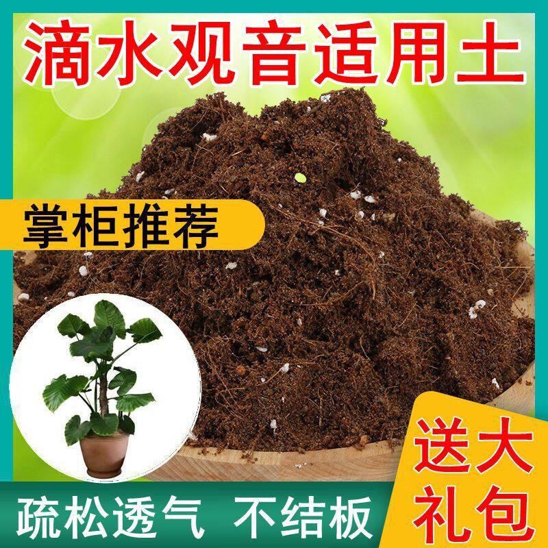 滴水观音土壤种植土花泥通用型营养土建兰寒兰兰科植料新土促销