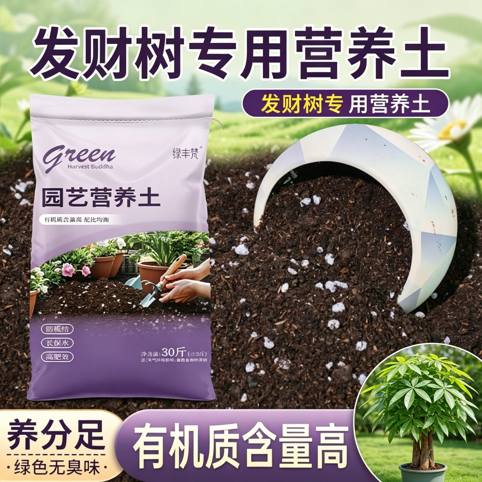 发财树专用营养土轻质泥炭土蓬松透气不闷根盆栽发财树种植土有机