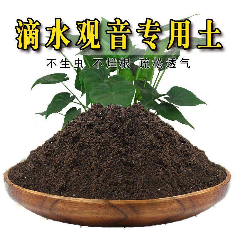滴水观音专用土滴水观音专用营养土盆栽绿植土养花土壤种植土肥料