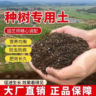 种树专用土肥料果苗种树营养土阳台天然通用农业室内黑土泥土种植