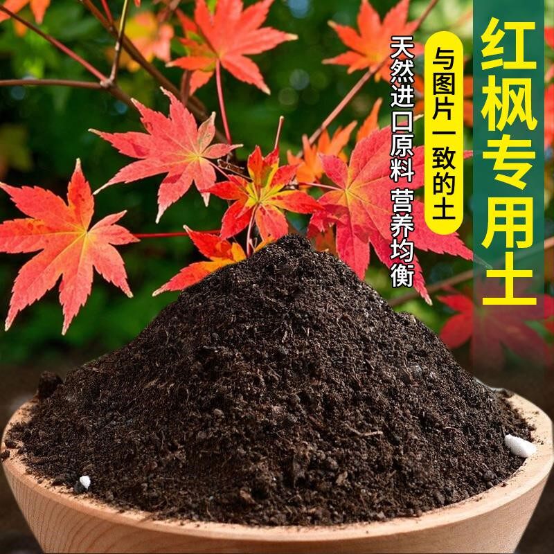 红枫专用土多肉土花肥红枫专用营养土花土花卉绿植育苗花土有机肥