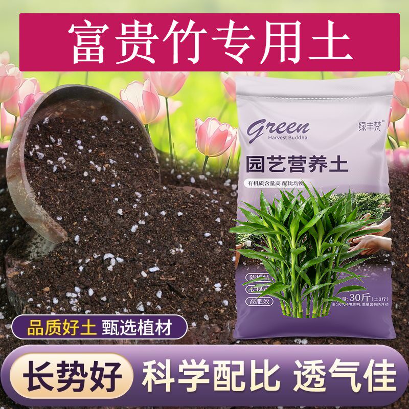 富贵竹专用含泥炭保水保肥园艺包邮精选防徒长木本疏松透气壮根