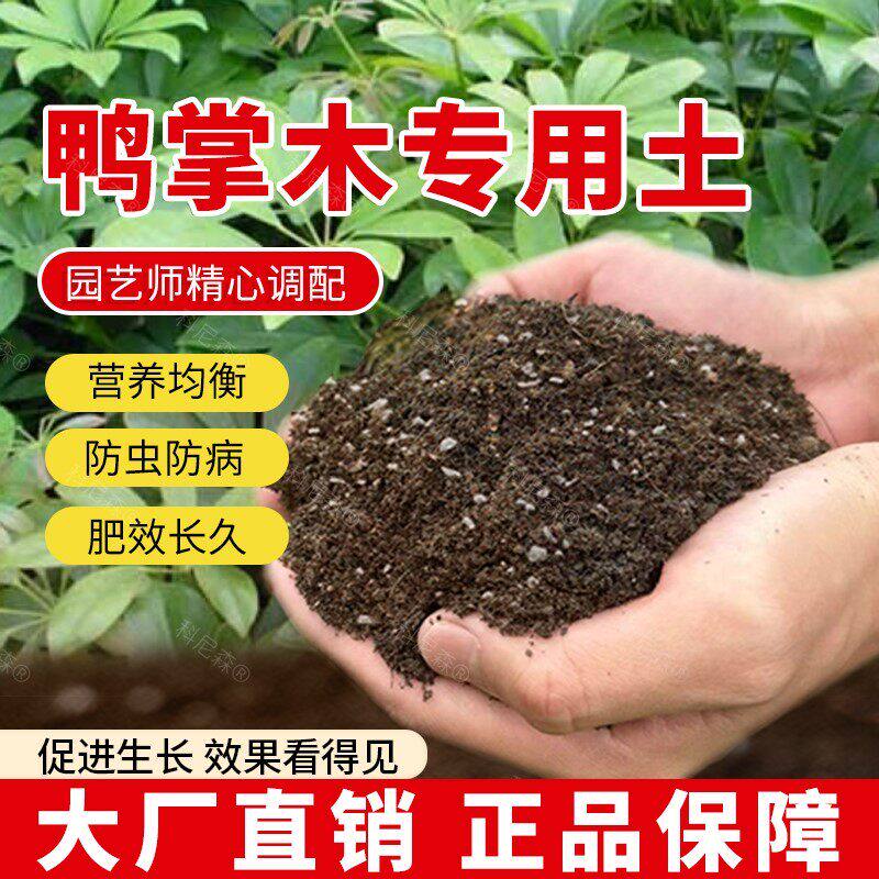 鸭掌木专用土肥料鸭脚木营养土园艺植物花草种植养花室内有机土