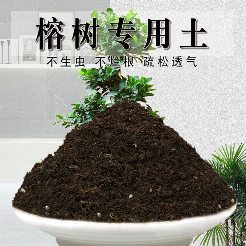 榕树专用土榕树土种植土壤盆景盆栽种花泥土营养土透气通用养花土