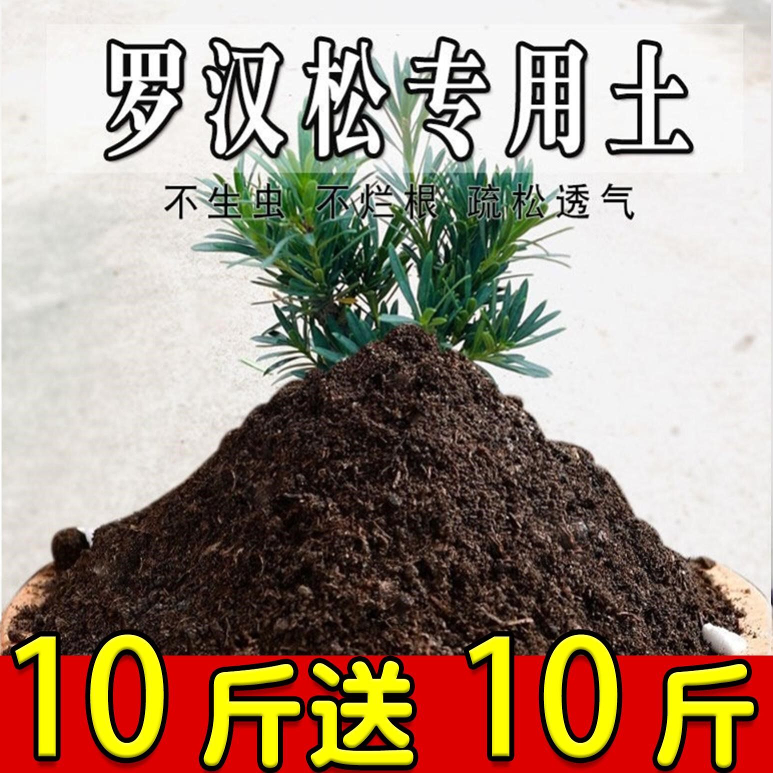 罗汉松专用土罗汉松专用肥料营养土盆栽土养花种花土种植土壤通用