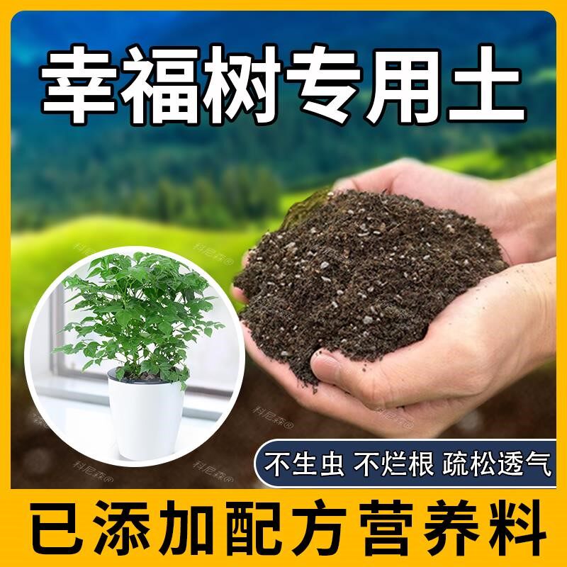 幸福树专用土肥料家庭种花蓬松幸福树营养土泥土阳台天然黑土花草
