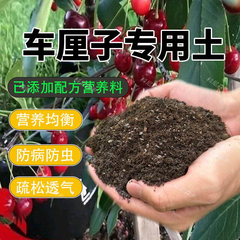 车厘子专用土种果树樱桃树专用营养土泥土树苗专用有机肥料种植土
