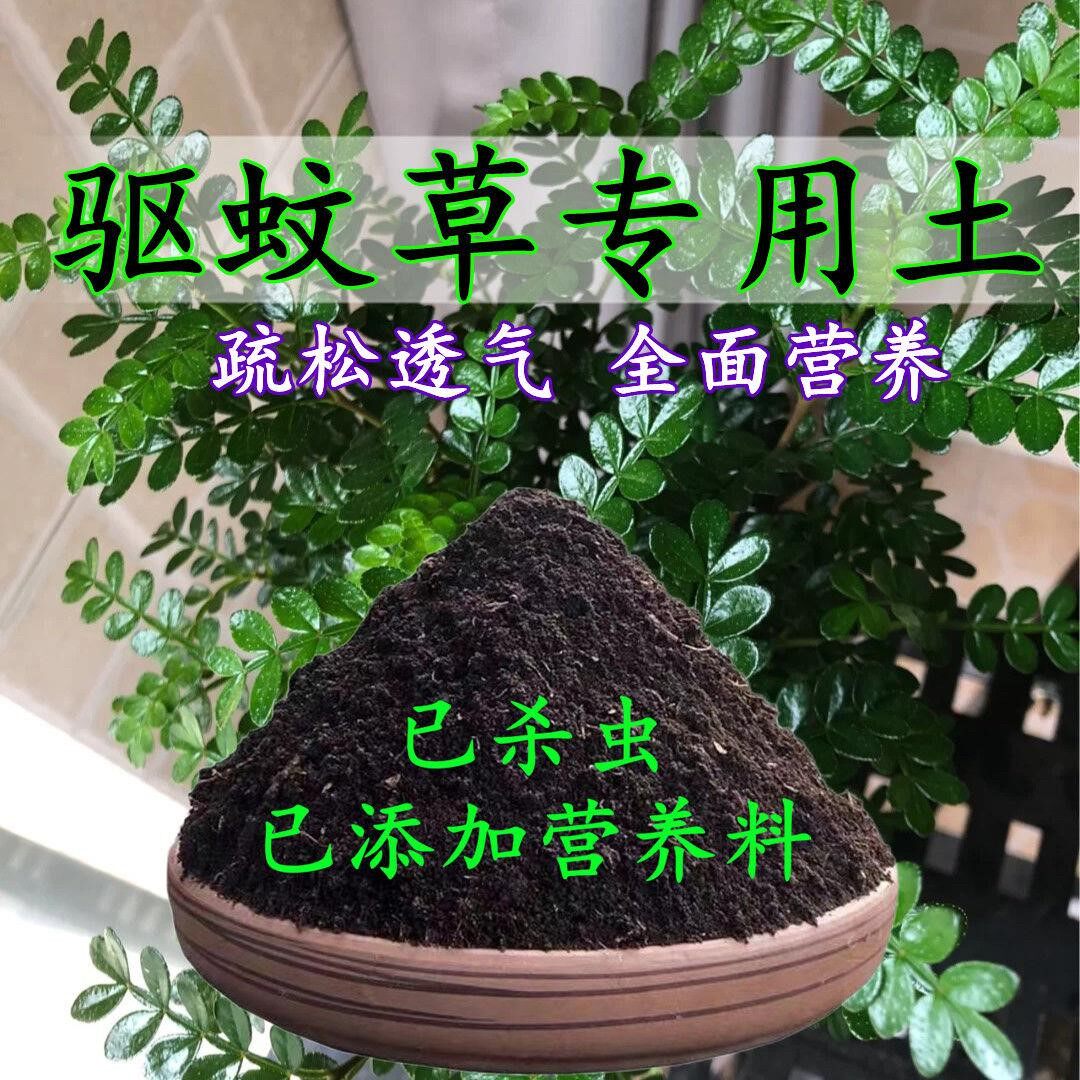 驱蚊草专用土驱蚊草土盆栽家用营养土园艺室内绿植酸性沙质种植土