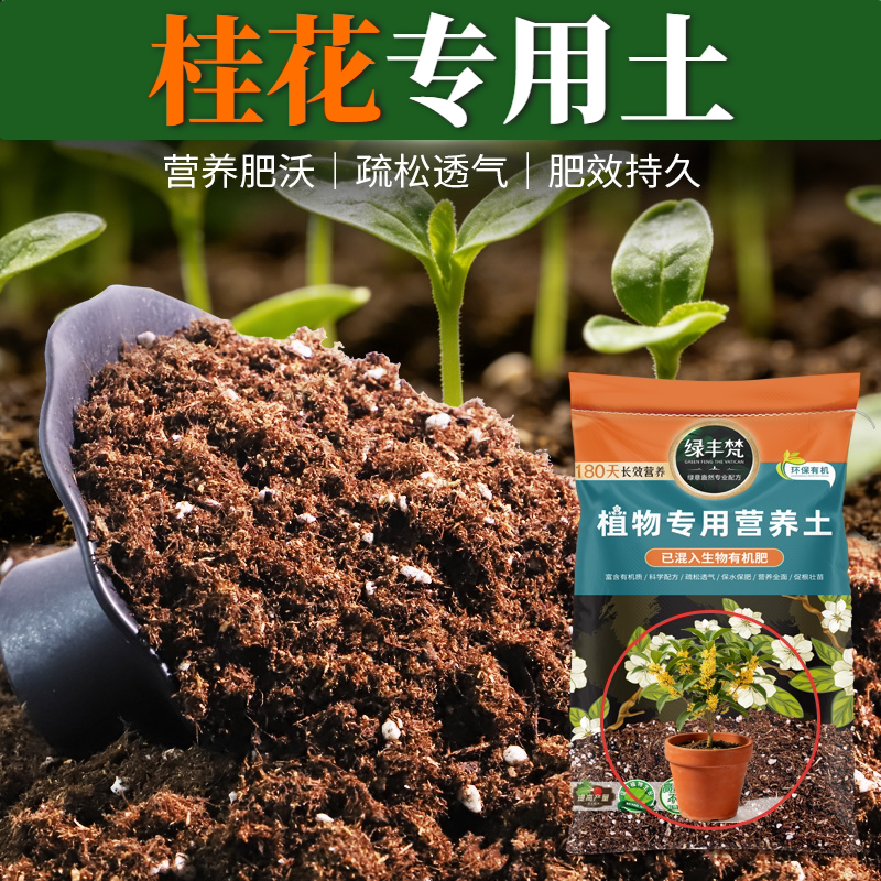 桂花专用营养土腐殖土科学配比室内配方土酸性土扦插育苗菜园园土