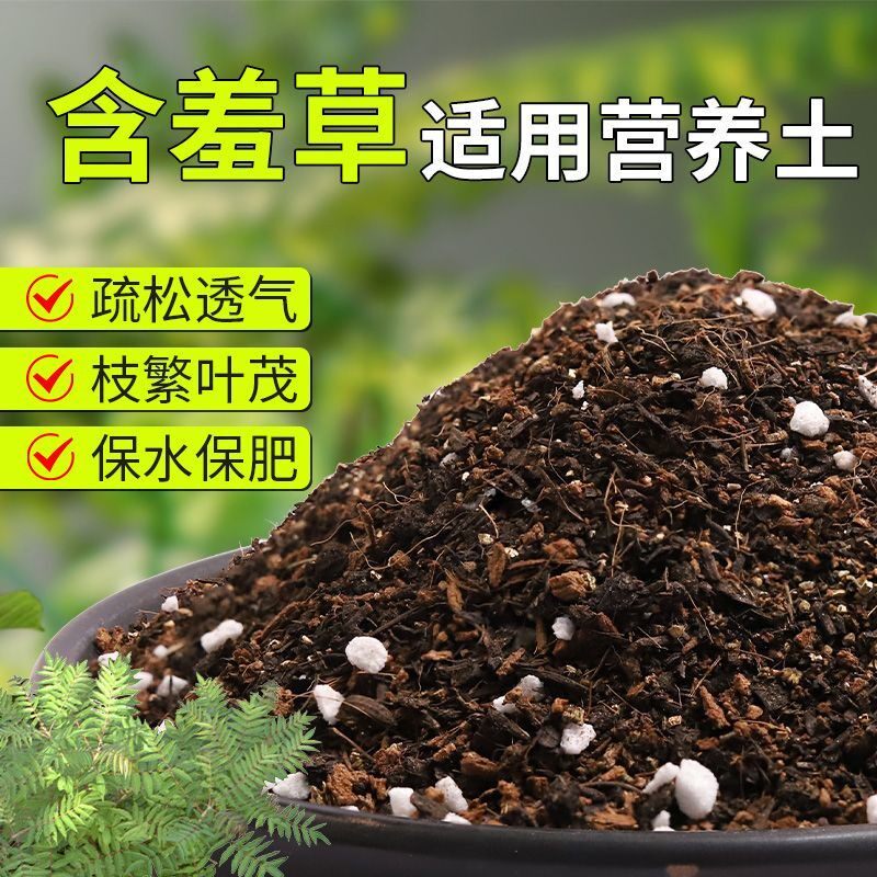 【含羞草专用土】疏松透气盆栽绿植专用室内植物有机营养土肥料