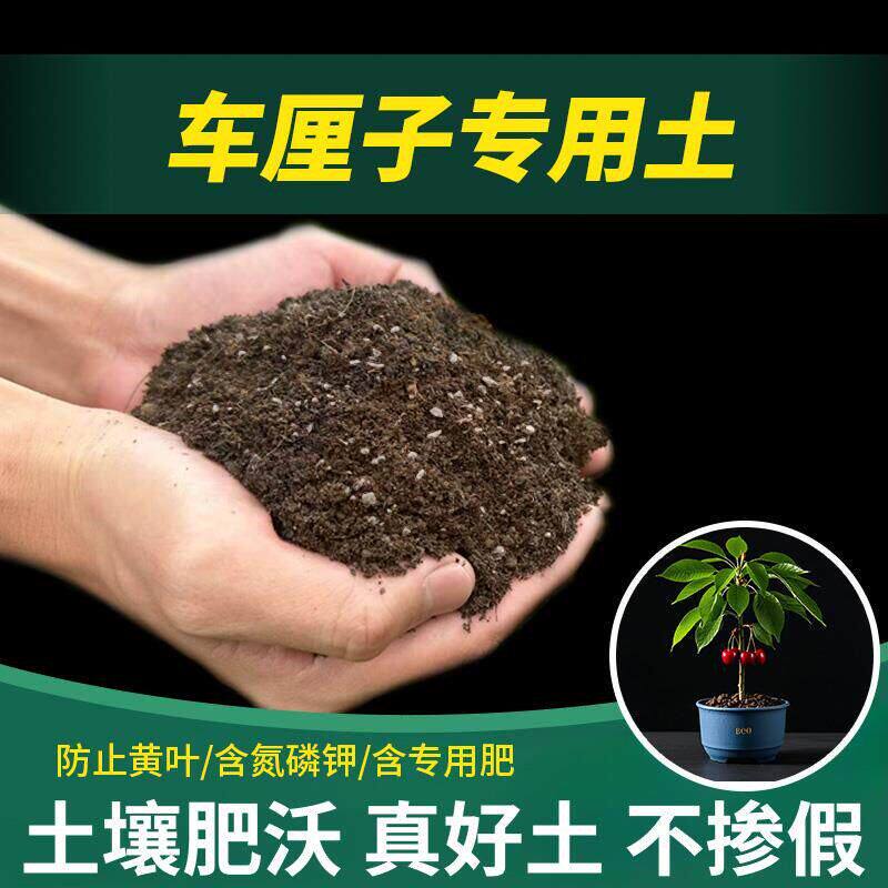 车厘子专用土农业室内包邮蔬果疏松阳台盆景专用土天然种植土蓬松