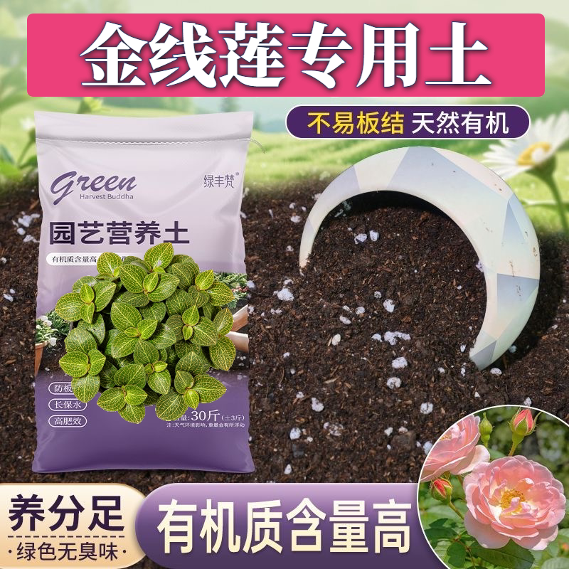 金线莲专用盆景土高温腐熟不闷根园艺大包进口促生长多肉室内扦插