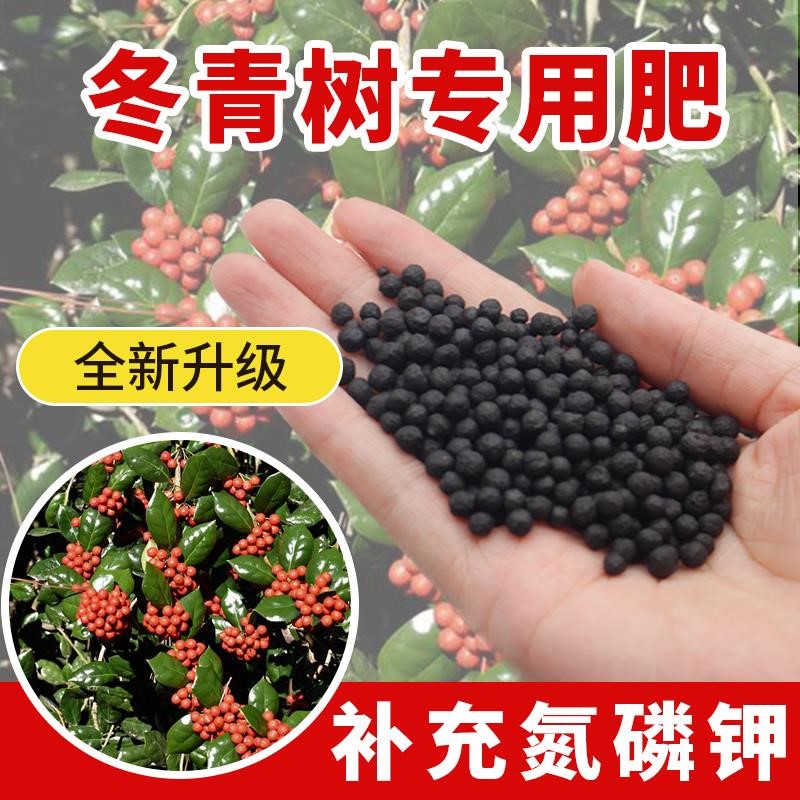 冬青树专用肥料冬青树专用营养土绿植专用肥促生长防烂根防落叶