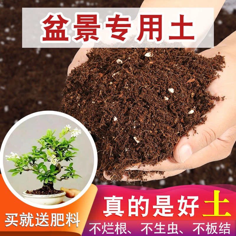 盆景通用养花土椰砖土防烂根家庭园艺大包基质腐叶土盆栽园艺包邮