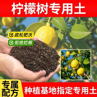 柠檬树专用土营养土栽培土泥土有机土水果透气天然盆景专用土家庭