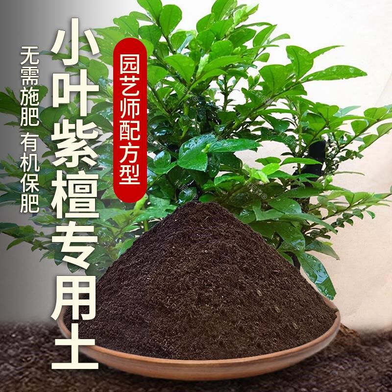 小叶紫檀专用土肥料养花花草种植小叶紫檀营养土植物蓬松绿植黑土