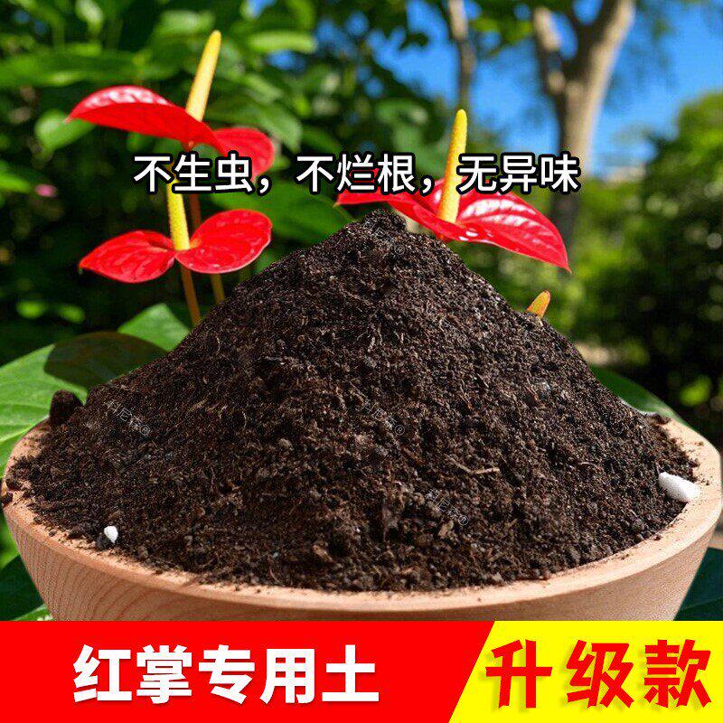 红掌专用土白掌专用营养土花卉土室内泥土肥料土阳台种植土种花土