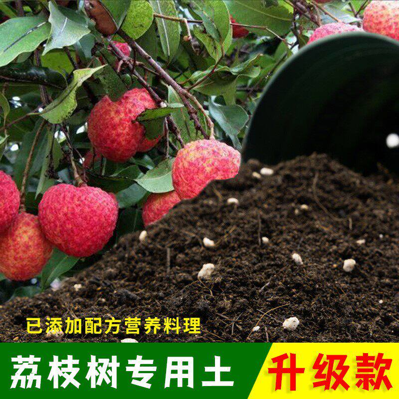 荔枝专用土荔枝树专用营养土妃子笑盆栽果树土通用型种植肥料土壤
