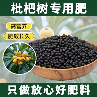 枇杷树专用肥壮苗果苗肥增根壮苗农业果园二氢钾肥枇杷树专用肥料