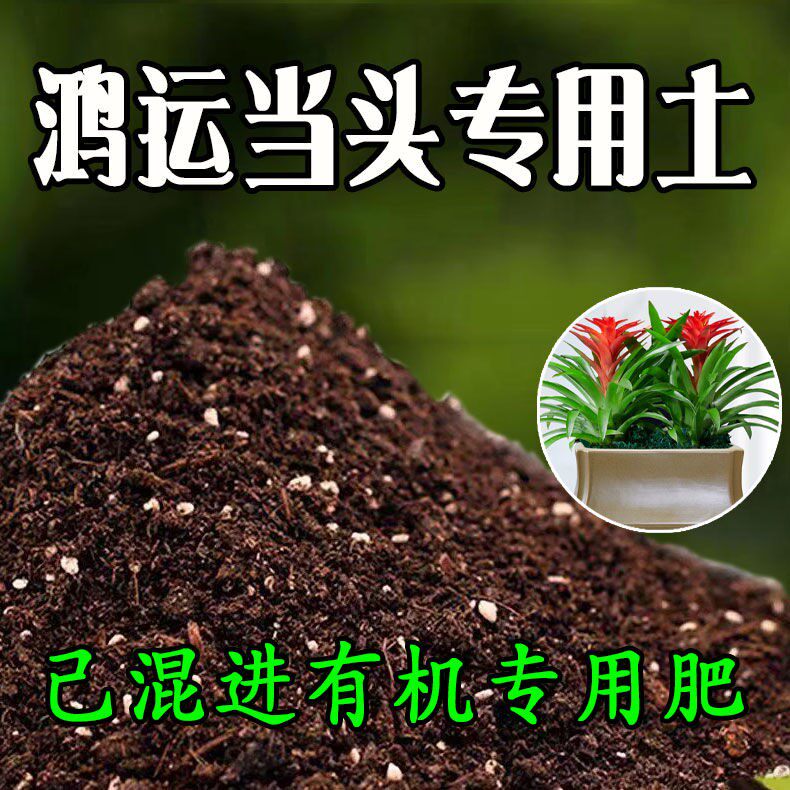 鸿运当头专用土鸿运当头种植土壤养花营养土种花土盆栽土花卉肥料
