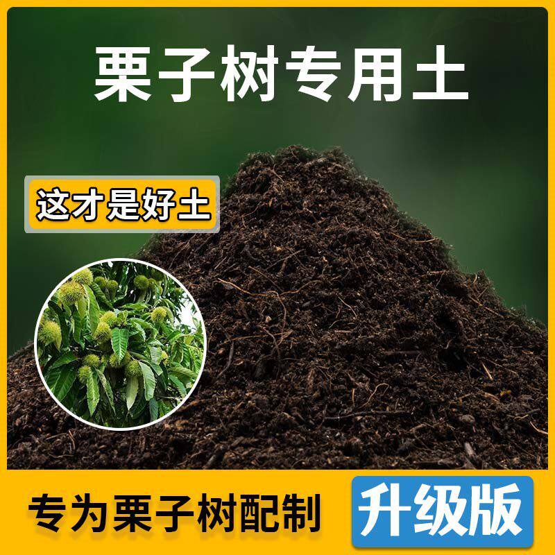 栗子树专用土栗子树营养土家用种植土壤家庭盆栽种花养花有机土