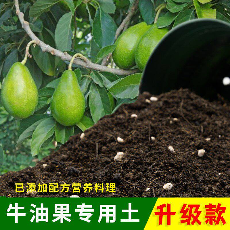 牛油果专用土果树盆栽地栽牛油果专用营养土绿植通用种植肥料土壤