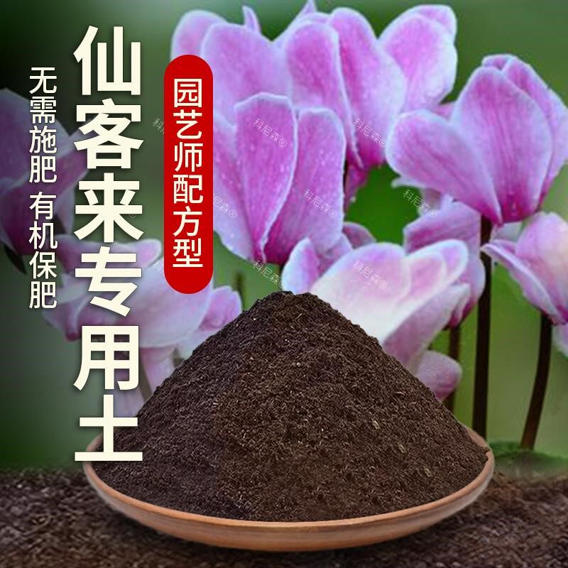 仙客来专用土肥料植物种植养花有机土家庭绿植土花盆仙客来营养土