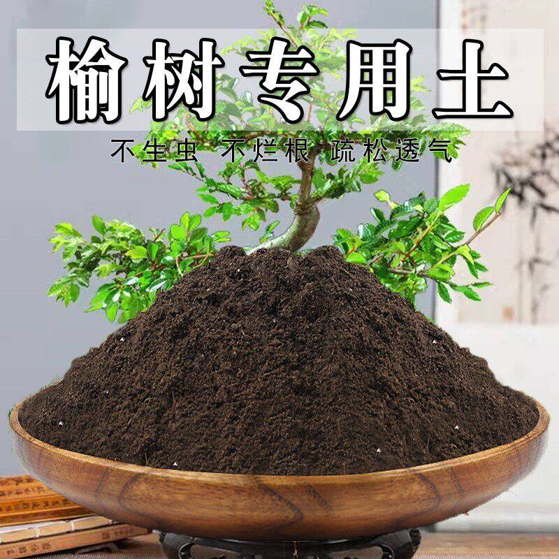 榆树专用土小叶榔榆专用土营养土盆景土盆栽种植土有机肥料土壤