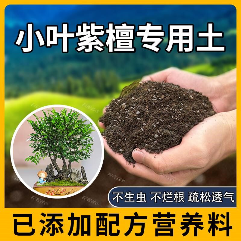 小叶紫檀专用土肥料园艺盆栽土壤小叶紫檀营养土绿植黑土种植室内