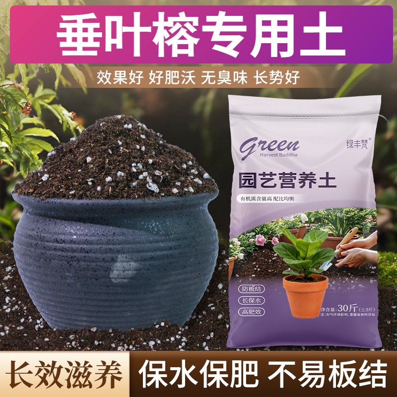 垂叶榕适用种菜土疏松透气根壮苗好阳台加深生根粉有机防徒长观花