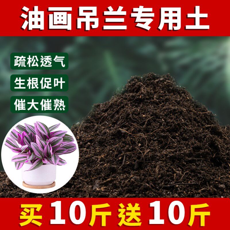 油画吊兰专用土盆栽土肥料养花泥土家庭透气种植土油画吊兰营养土