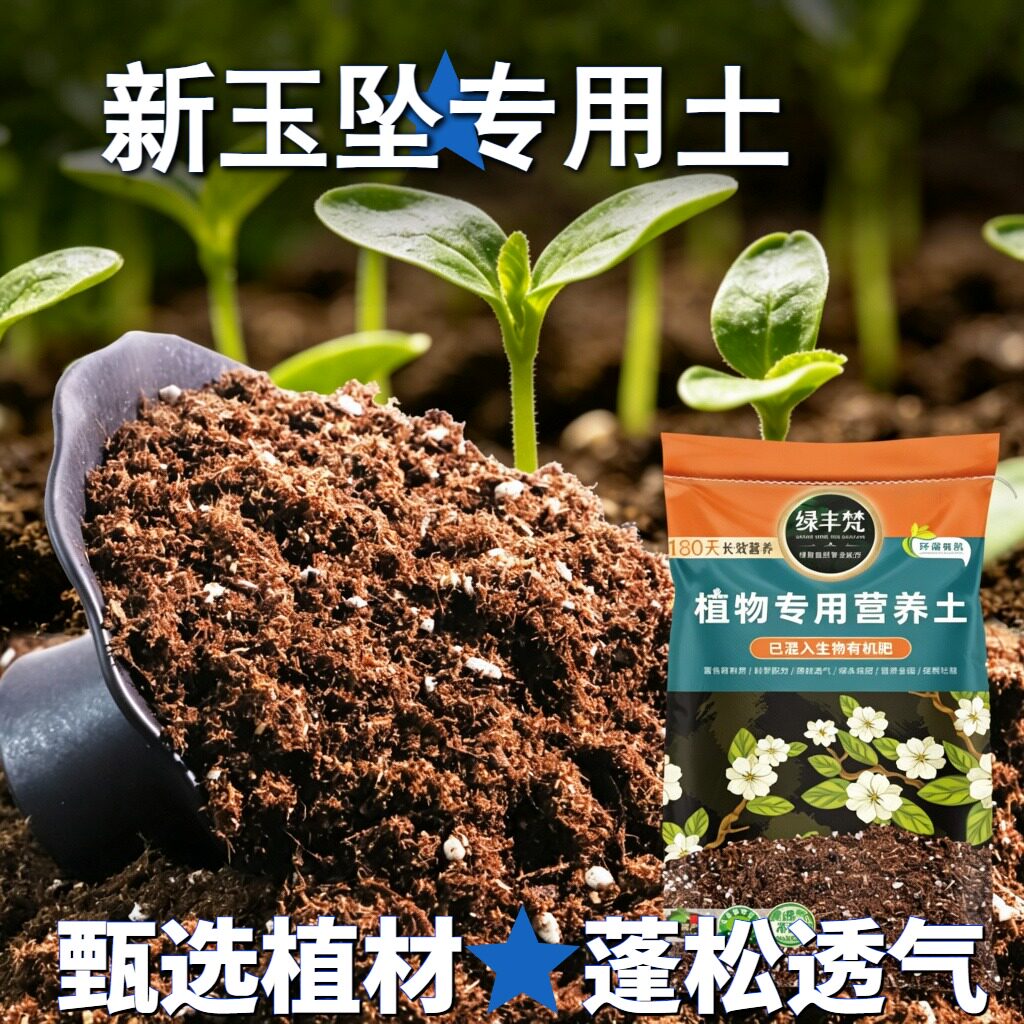 新玉坠专用轻质土温和基质养花营养土进口稳定土团试用装喜酸多肉