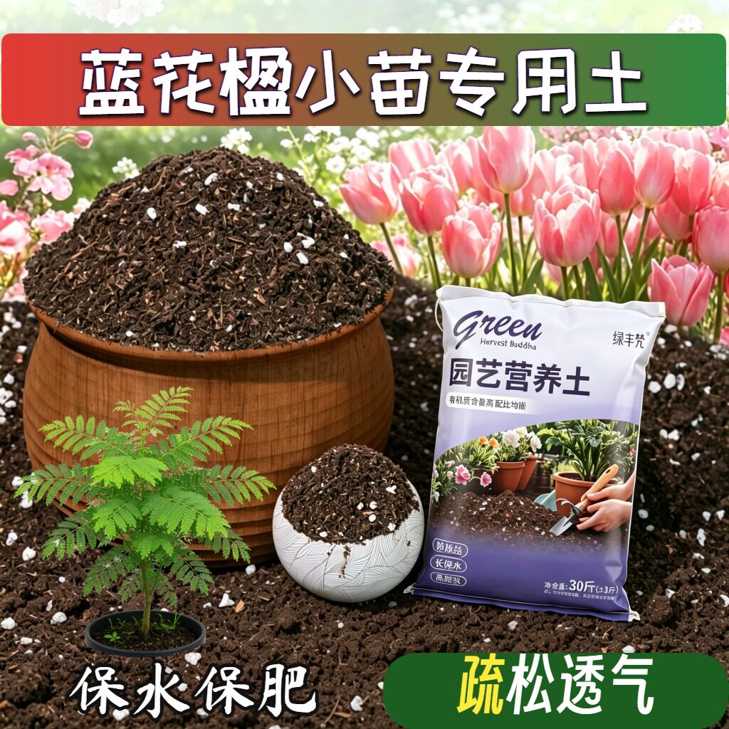 蓝花楹小苗专用含泥炭防烂根根壮苗好菜园泥炭基质无菌防黄叶观叶