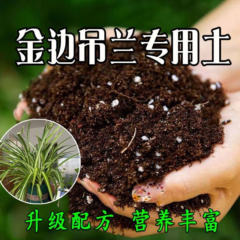 金边吊兰专用营养土金边吊兰专用土壤种花养花土育苗土盆栽种植土