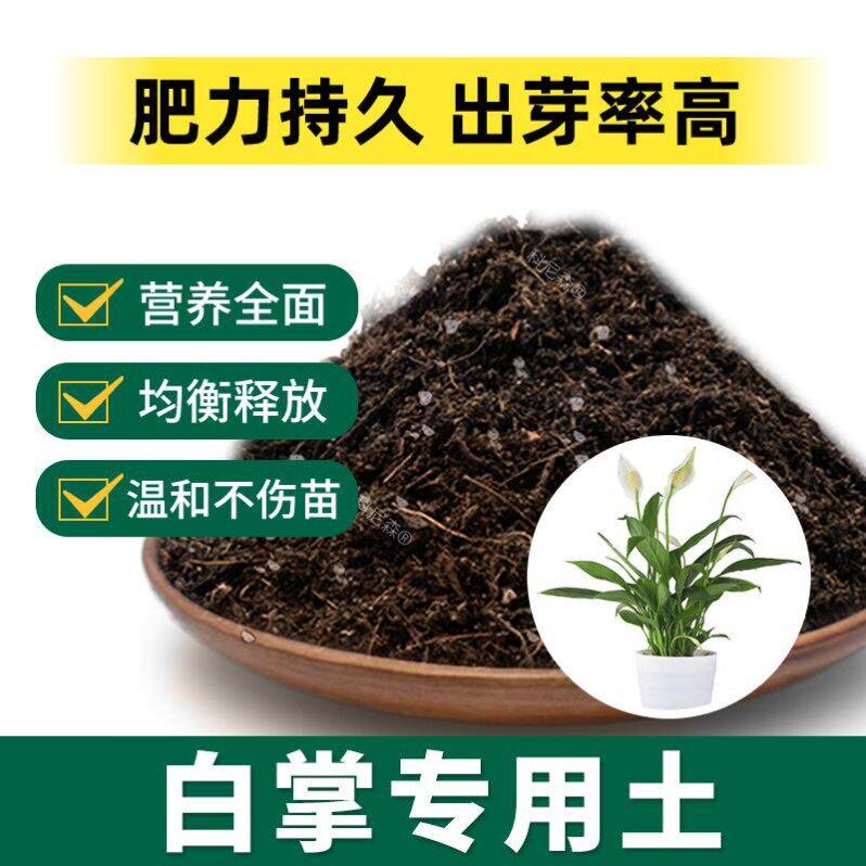 白掌专用土肥料植物花盆绿植黑土一帆风顺营养土种花园艺育苗花土