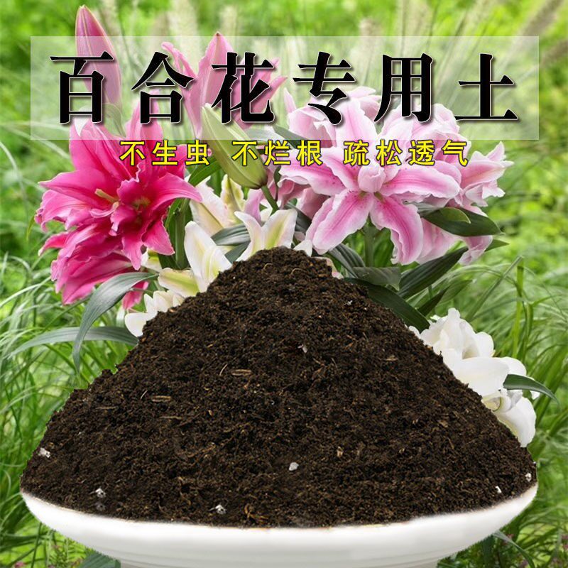百合花专用土百合花土营养土通用盆栽土种植种花养花泥土肥料透气